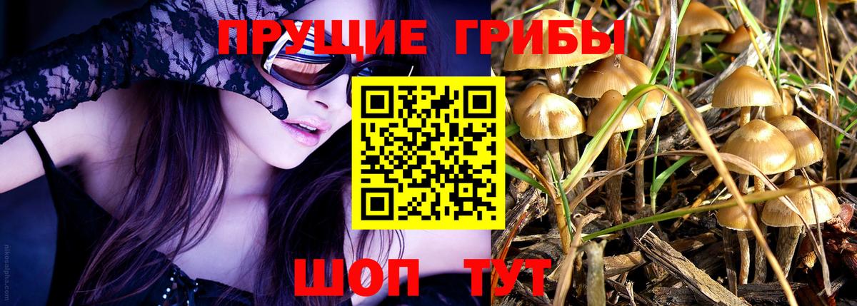 Галлюциногенные грибы мицелий Радужный